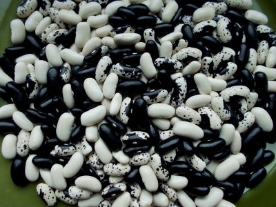 Dakota Bumble 1.jpg Dakota Bumble 1.jpg