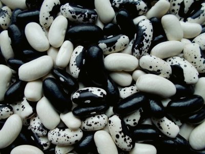 Dakota Bumble 2.jpg Dakota Bumble 2.jpg