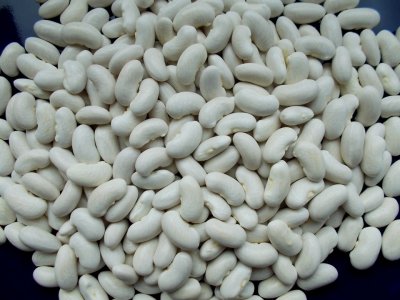 Mongeta del Ganxet de Mata Baixa de Viladrau 1.jpg Mongeta del Ganxet de Mata Baixa de Viladrau 1.jpg