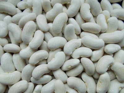 Mongeta del Ganxet de Mata Baixa de Viladrau 2.jpg Mongeta del Ganxet de Mata Baixa de Viladrau 2.jpg