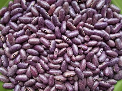 Purple Stardust 1.jpg Purple Stardust 1.jpg