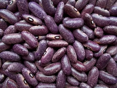 Purple Stardust 2.jpg Purple Stardust 2.jpg