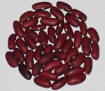 african premier seg 4.jpg