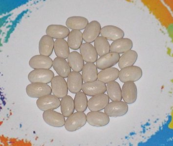 Bonanza Valley Navy-FB.jpg