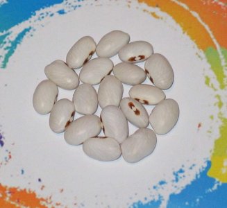 Canadian Dot Eye-FB.jpg