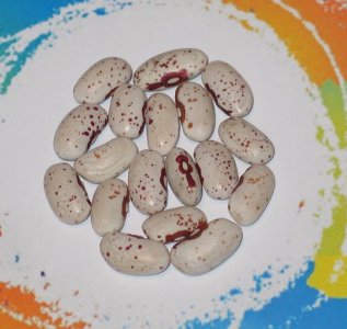 Centerville Special-FB.jpg