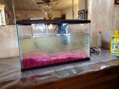 New winter home for the fish, #2, 11-11-22.jpg