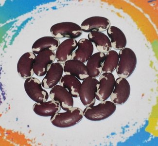 Gila River-FB.jpg Gila River-FB.jpg