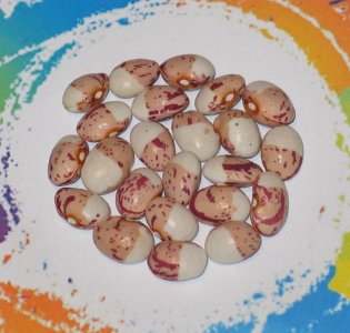 George's Bean-2022.jpg George's Bean-2022.jpg