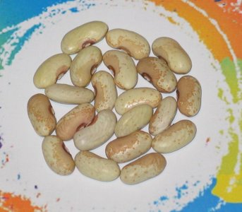 Gold Creek Beauty-FB.jpg Gold Creek Beauty-FB.jpg