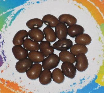 Graines De Cafe-FB.jpg Graines De Cafe-FB.jpg