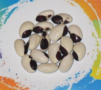 Hashuli-FB.jpg Hashuli-FB.jpg