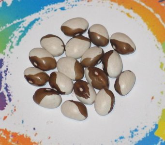 La Pap Brown-FB.jpg La Pap Brown-FB.jpg