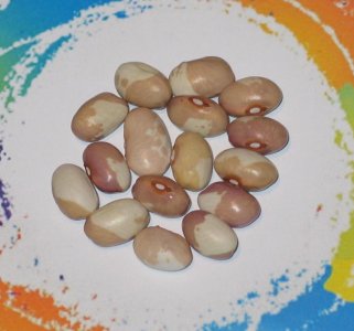 La Pap Brown-Seg 1-22-FB.jpg La Pap Brown-Seg 1-22-FB.jpg