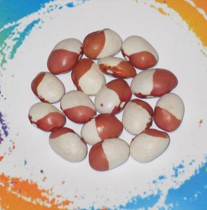 La Pap-FB.jpg La Pap-FB.jpg