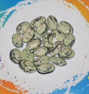 Lavender Swirl-FB.jpg Lavender Swirl-FB.jpg