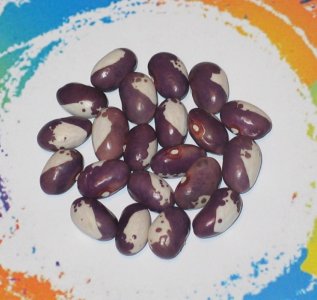 Lilaschecke-FB.jpg Lilaschecke-FB.jpg