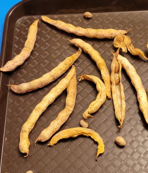 20220914_231549 (2).jpg 20220914_231549 (2).jpg