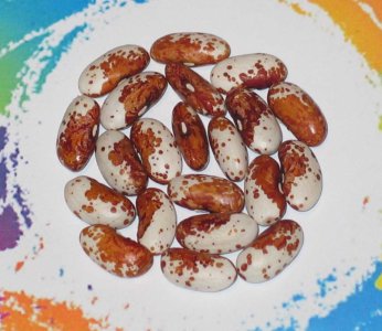 Nippersink-FB.jpg Nippersink-FB.jpg