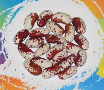 Nippersink OT 122-FB.jpg Nippersink OT 122-FB.jpg