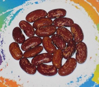 Nippersink OT 222-FB.jpg Nippersink OT 222-FB.jpg