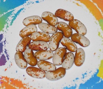 Nippersink OT 422-FB.jpg Nippersink OT 422-FB.jpg