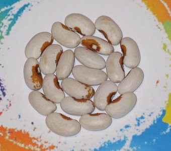 Nippersink OT 522-FB.jpg Nippersink OT 522-FB.jpg