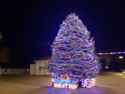 Philo Christmas Tree, #4, 2022.jpg