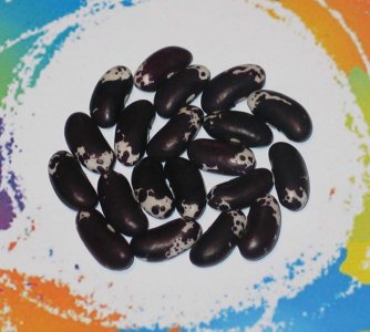 Skunk River Trout-FB.jpg