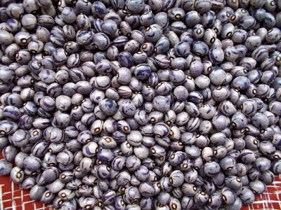 Cranberry Flieder 1.jpg