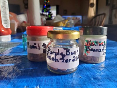 Bean seeds for 2022, packaged.jpg