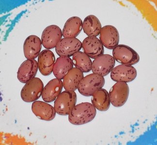 Tamila-FB.jpg Tamila-FB.jpg