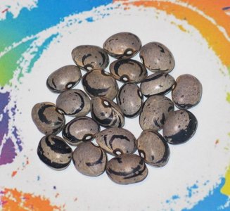 Tresnjevec-FB.jpg Tresnjevec-FB.jpg