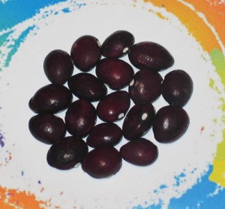 True Red Cranberry-FB.jpg True Red Cranberry-FB.jpg