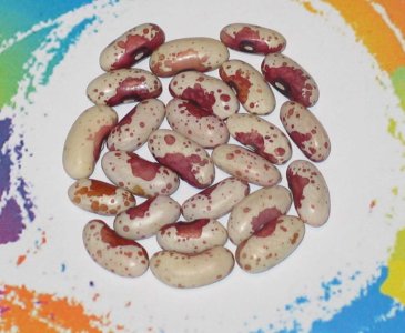 Victoria Brown Eyes OT3-2021-OT-122-FB.jpg