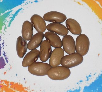 Weaver-FB.jpg Weaver-FB.jpg