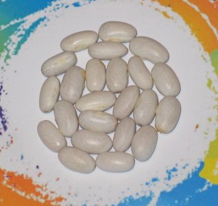 White Lion-122-FB.jpg White Lion-122-FB.jpg