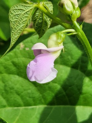 20220726_151617.jpg 20220726_151617.jpg