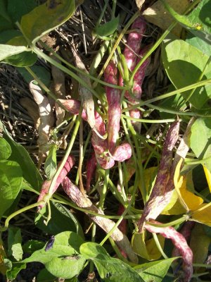 100_1014.JPG 100_1014.JPG