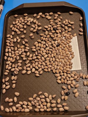 20221206_220859.jpg 20221206_220859.jpg