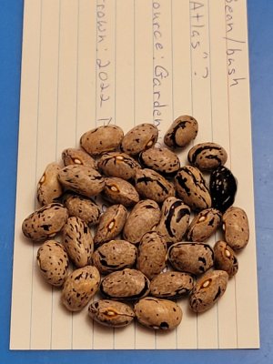 20221206_220947.jpg 20221206_220947.jpg