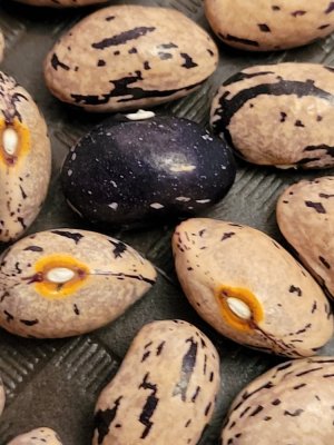 20221206_220956.jpg 20221206_220956.jpg