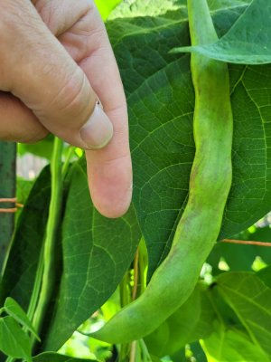 20220830_165359.jpg 20220830_165359.jpg