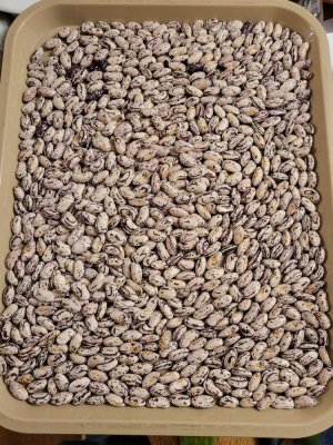 20221020_230636.jpg 20221020_230636.jpg