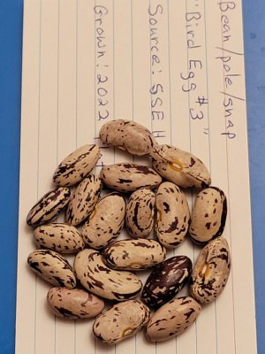 20221206_220644.jpg 20221206_220644.jpg