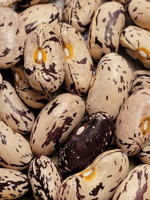 20221206_222711.jpg 20221206_222711.jpg