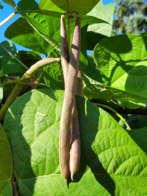 20220830_165700.jpg 20220830_165700.jpg