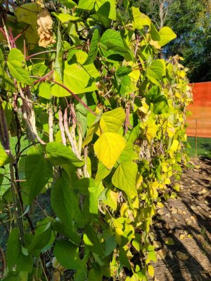 20221001_155726.jpg 20221001_155726.jpg