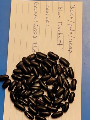 20221206_221236.jpg 20221206_221236.jpg