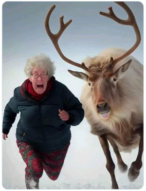 reindeer.png